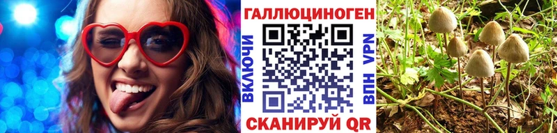 цена наркотик  Елец  MEGA сайт  Псилоцибиновые грибы мицелий 